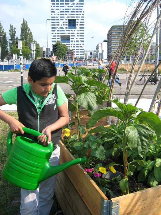 Het-Groene-Fietspad-kinderen-tuinieren-04